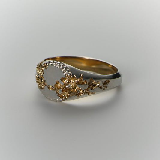Fractured Beaded Circle