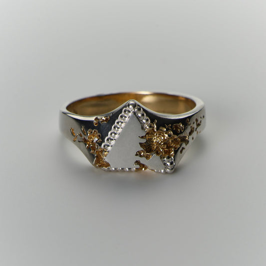 FRACTURED BEADED TRIANGLE