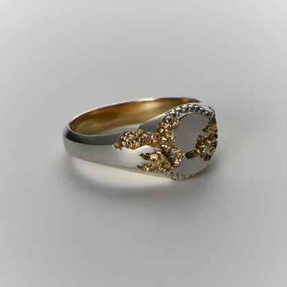 Fractured Beaded Circle