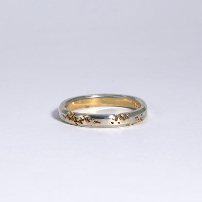 FRACTURED RING