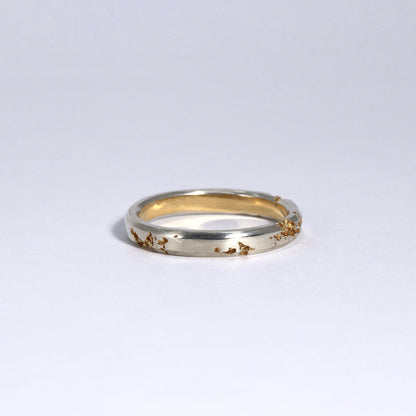 FRACTURED RING